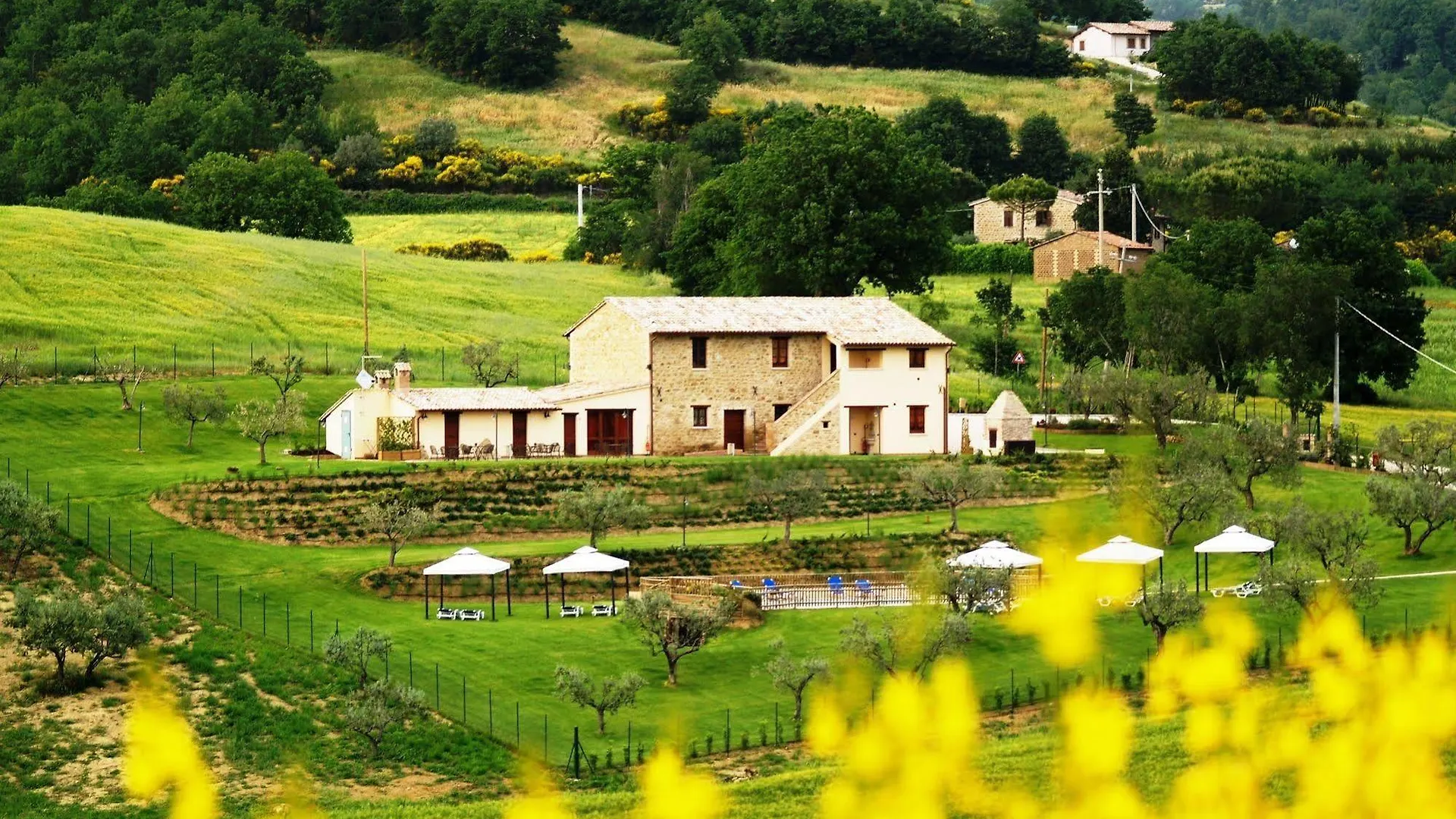 Residenza Il Falchetto Assisi Apartment