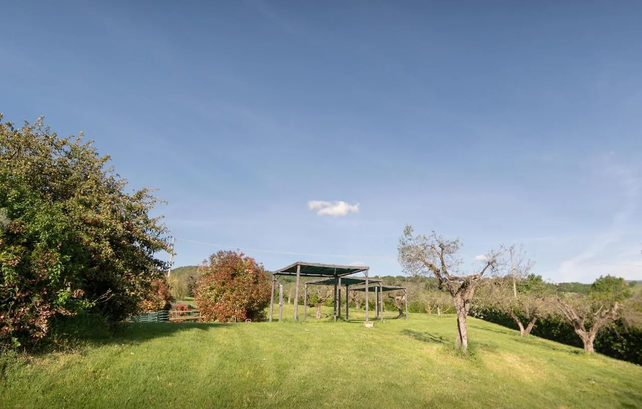 Residenza Il Falchetto Assisi Apartamento